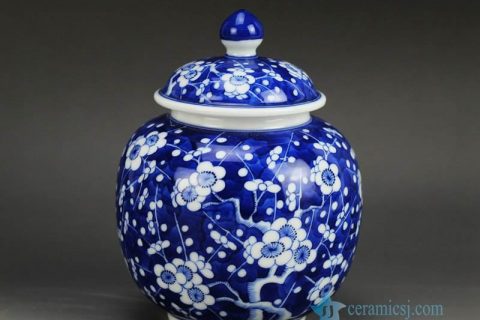 RZDI04 Small size winter sweet hand paint JDZ China Qing dynasty porcelain honey jar