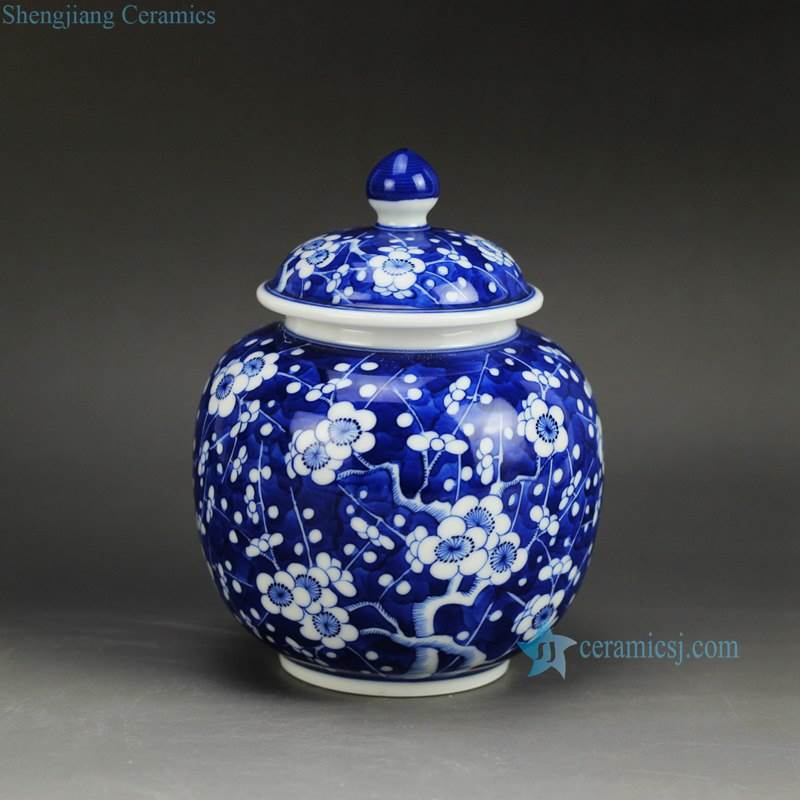 Small size winter sweet hand paint JDZ China Qing dynasty porcelain honey jar