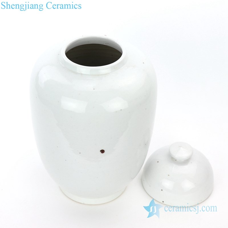 ancient pure colored porcelain jar