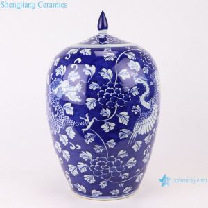 RYWG20 jingdezhen ceramics for food storage decoration porcelain jar