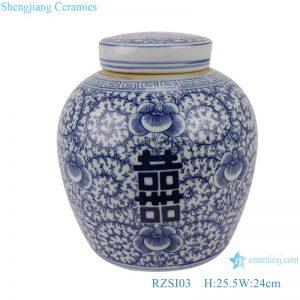 RZSI03 Blue and white happy character design big storage pot with a lid