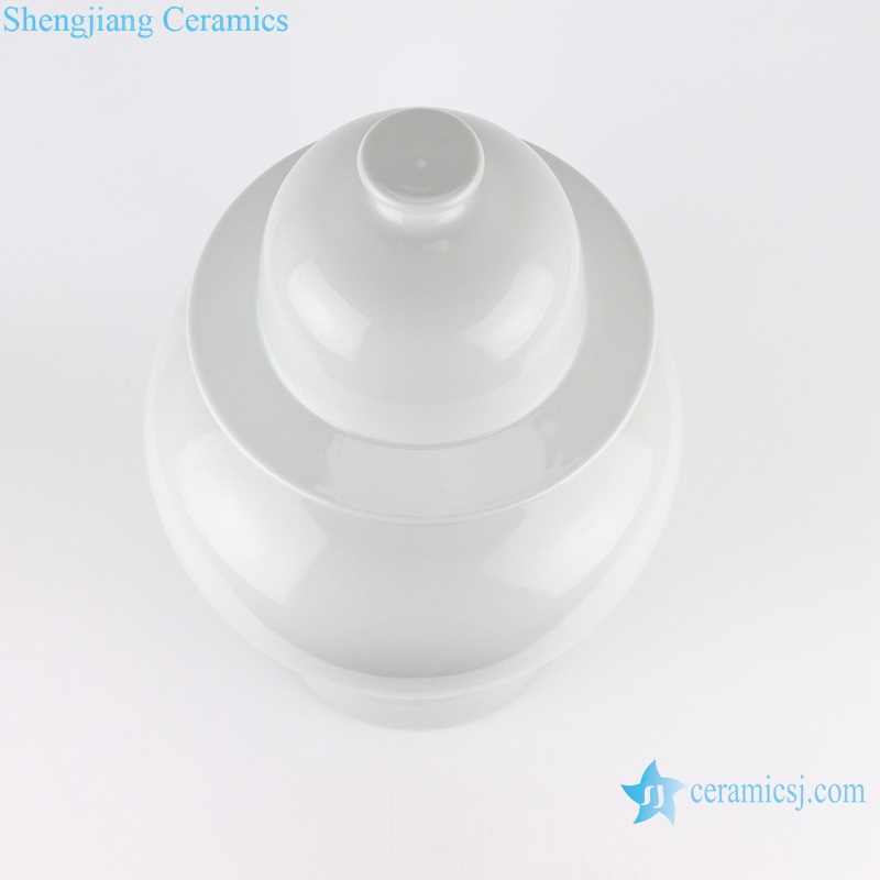 RYNQ265 Jingdezhen craft Pure White Ceramic Storage General pot Lidded Temple Ginger Jars