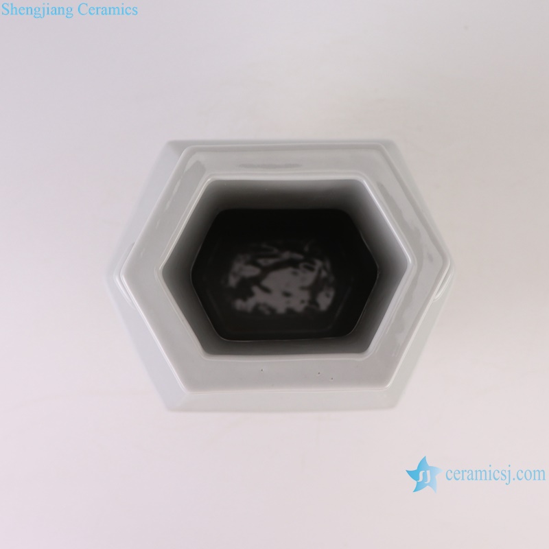 RZGY19-A White Color Hexagonal Through ear Decorative Ceramic Flower vase