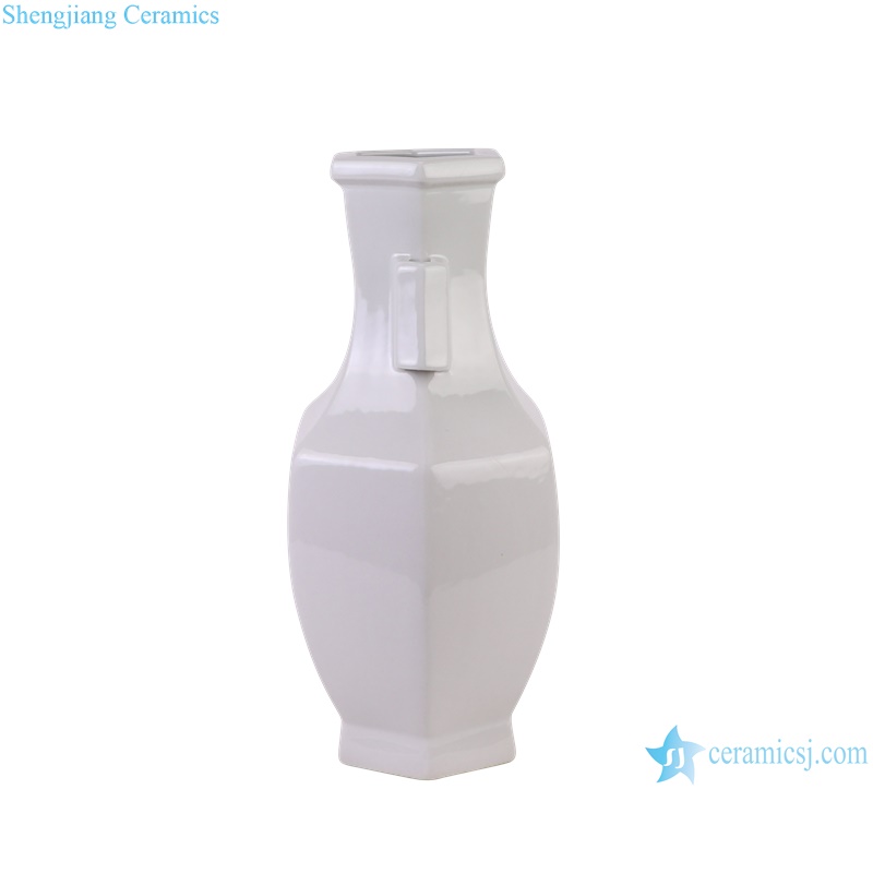 RZGY19-A White Color Hexagonal Through ear Decorative Ceramic Flower vase
