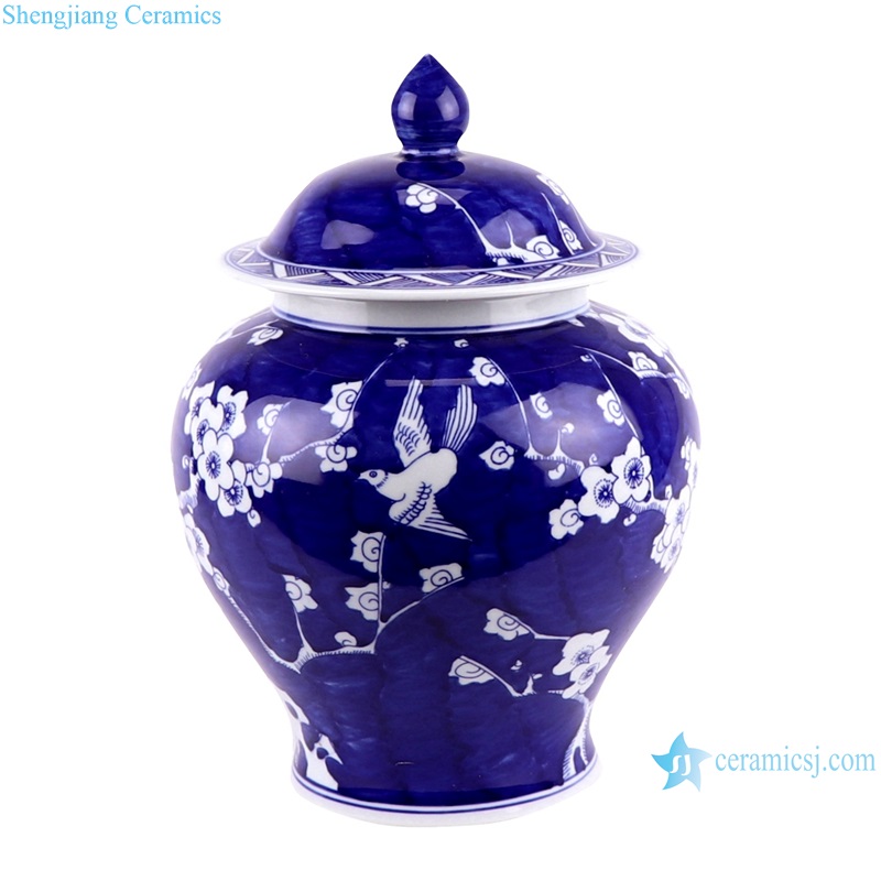 RYCI65-A Ice Plum Blossom Ceramic Storage Pot Blue and White Porcelain Lidded Jars--side view