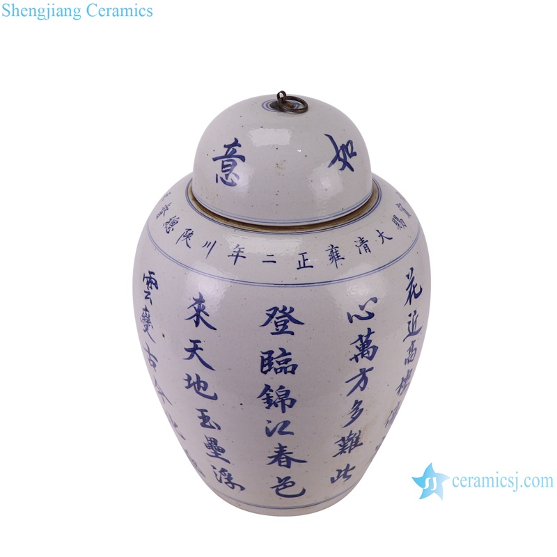 RZPI86-A Antique Chinese Words Good luck and happiness Porcelain decorative jar -- vertical view