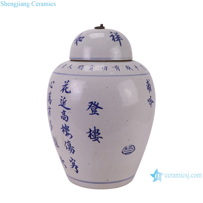 RZPI86-A Antique Chinese Words Good luck and happiness Porcelain decorative jar -- side view