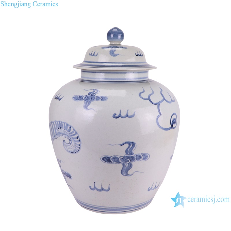 RZSX93-B Blue and White Porcelain Dragon Pattern Ceramic Pot Belly shape Lidded Jars--side view