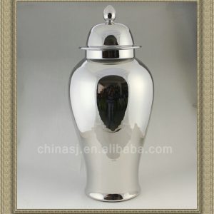 WRYNQ22 beautiful silver ceramic jar with lid 