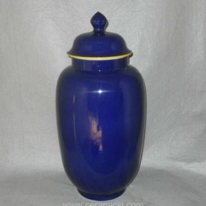 WRYKB89 Chinese porcelain ginger jars