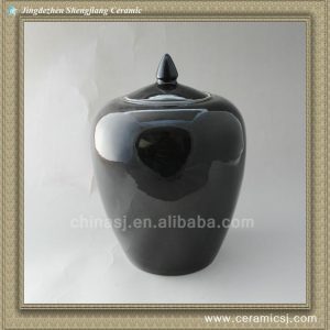 RYNQ45 12inch Porcelain Black Melon Jar