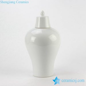 RYNQ178-A/D/E/F      Solid color ceramic temple jar