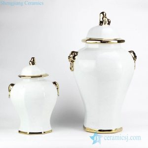 RYNQ166-C   European style simple white color golden line pleated ceramic home decor jar
