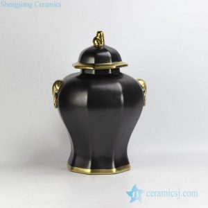 RYNQ166-C/D      Solid color golden line gilded unique matt finish porcelain home decor jar with lion knob and ring handle