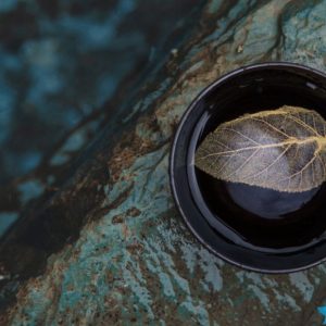 A Legend Story of Leaf in Ceramic Cup