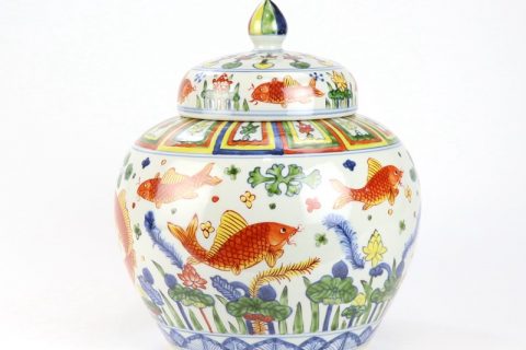 RZPY01      Polychrome fish and water weed design porcelain jar