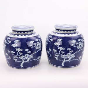 RZPi24-F Beautiful jar Chinese style jingdezhen porcelain decoration appreciate blue and white porcelain blue and white ice plum with lid altar jar