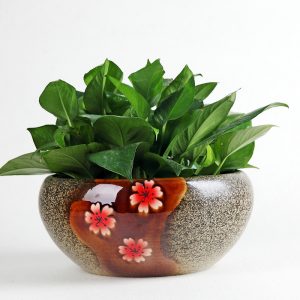 Shengjiang handmade colored glazed ceramic flowerpot