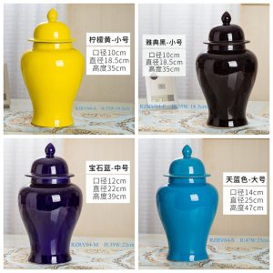 RZRV04 Series Handmade single color glazed porcelain general pot multicolor