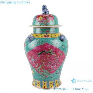 RYZG34-B_ Jingdezhen porcelain vase hand-painted engraving antique pastel general ceramic jar decoration