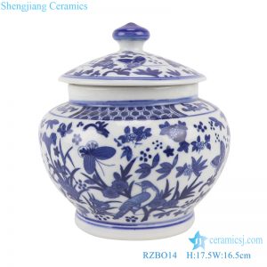 RZBO14 Blue and white tea canister with butterfly pattern