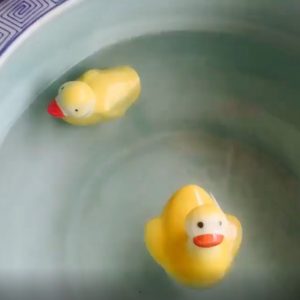 Lots of Ceramic floating ball fish duck frog  from shengjiang factory
