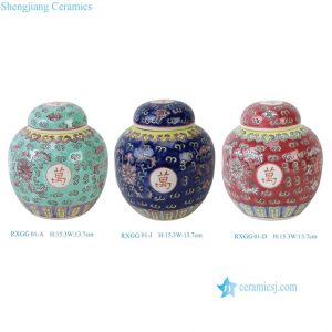 RXGG01-A-D-J-I Chinoiserie Famille Rose Longevity Chinese Character Floral Mini Ceramic Ginger Jar Tabletop Decor